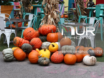 Pumpkins are seen at the restaurant in Chicago, United States on October 18, 2022. (