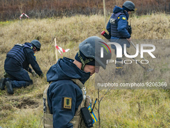 Demining works in the fields of Kherson after the liberationof the province by the ukrainian army from the control of russian army, leaving...