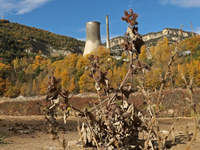 The lack of rain has caused extreme drought in most of the swamps of Catalonia. The Baells swamp, in the Bergeda region, is at an all-time l...