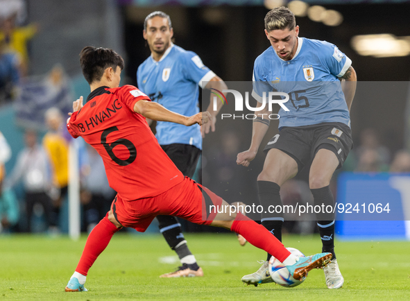 Inbeom Hwang , Federico Valverde  during the World Cup match between Uruguay v Korea Republic in Doha, Qatar, on November 24, 2022. 