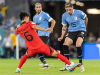 Inbeom Hwang , Federico Valverde  during the World Cup match between Uruguay v Korea Republic in Doha, Qatar, on November 24, 2022. (