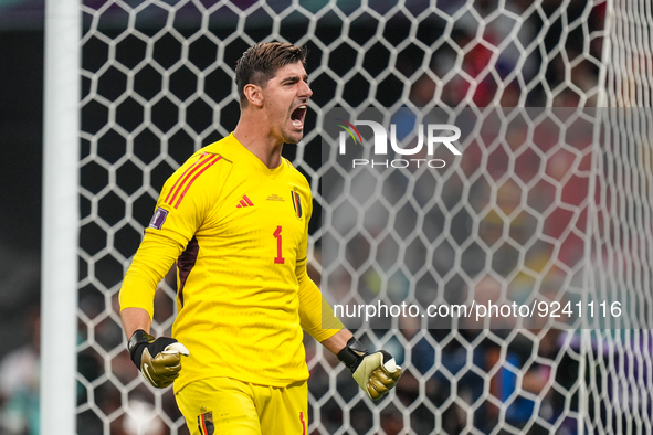 (1) COURTOIS Thibaut of Belgium team his action after save the ball from penalty during FIFA World Cup Qatar 2022  Group F football match be...