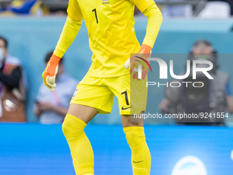Seunggyu Kim  during the World Cup match between Spain v Costa Rica, in Doha, Qatar, on November 23, 2022. (