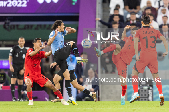 Wooyoung Jung , Edinson Cavani , Inbeom Hwang , Junho Son  during the World Cup match between Spain v Costa Rica, in Doha, Qatar, on Novembe...