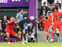Wooyoung Jung , Edinson Cavani , Inbeom Hwang , Junho Son  during the World Cup match between Spain v Costa Rica, in Doha, Qatar, on Novembe...
