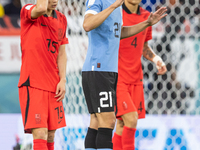 Moonhwan Kim , Edinson Cavani , Minjae Kim  during the World Cup match between Spain v Costa Rica, in Doha, Qatar, on November 23, 2022. (