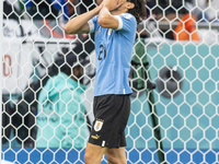 Edinson Cavani  during the World Cup match between Spain v Costa Rica, in Doha, Qatar, on November 23, 2022. (