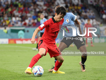 Kim Moon-Hwan of South Korea during the FIFA World Cup 2022, Group H football match between Uruguay and Korea Republic on November 24, 2022...