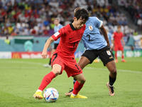Kim Moon-Hwan of South Korea during the FIFA World Cup 2022, Group H football match between Uruguay and Korea Republic on November 24, 2022...