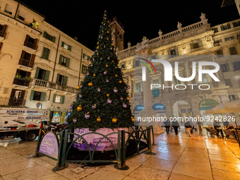 A general view of the Chirstmas Tree in Verona, Italy, on November 24, 2022.  (