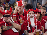 Denmark fans during the World Cup match between France vs Denmark, in Doha, Qatar, on November 26, 2022. (