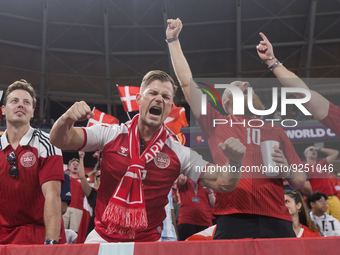 Denmark fans during the World Cup match between France vs Denmark, in Doha, Qatar, on November 26, 2022. (