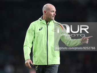  Jacques Nienaber Head Coach of South Africa during Autumn International Series match between England against South Africa at Twickenham sta...