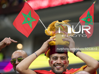 Morocco fans during the World Cup match between Belgium vs Morocco, in Doha, Qatar, on November 27, 2022. (