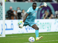 Meshaal Barsham goalkeeper of Qatar and Al-Sadd SC does passed during the FIFA World Cup Qatar 2022 Group A match between Netherlands and Qa...