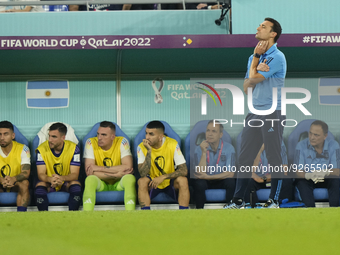Lionel Scaloni head coach of Argentina during the FIFA World Cup Qatar 2022 Group C match between Poland and Argentina at Stadium 974 on Nov...