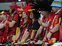 Fans of team Belgium before the FIFA World Cup Qatar 2022 Group F match between Croatia and Belgium at Ahmad Bin Ali Stadium on 1 December 2...