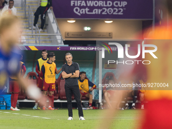 Trener Luis Enrique  during the World Cup match between Japan vs Spain in Doha, Qatar, on December 1, 2022. (