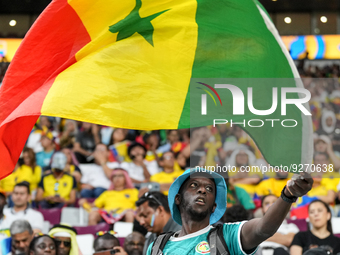 Fans of team Senegal during the FIFA World Cup Qatar 2022 match, Group A, between Ecuador and Senegal at Khalifa International Stadium on 29...