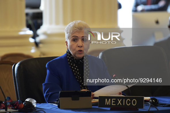 The Mexicos Ambassador to Organization of the American State(OAS) Luz Baos Rivas speaks about Human Right and Peruvian crisis during an extr...