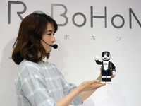 Robot Robi created by DMM.make Robots on display at the International Robot Exhibition 2015 on December 4, 2015, Tokyo, Japan. The Robot Exh...