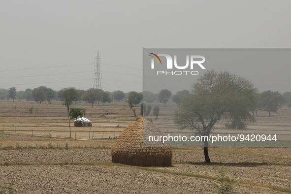 Large haystack containing food for livestock in Greater Noida, Uttar Pradesh, India, on May 07, 2022. 