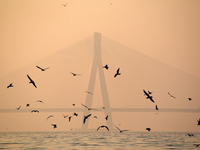 Bandra-Worli Sea link is partially seen through dense smog in Mumbai, India, 18 January, 2023. Mumbai's Air Quality Index in Mumbai was very...