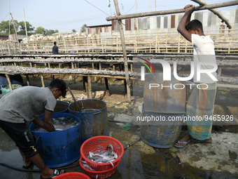 Workers clean fish with water before setting them up on a rack to make dry fish under the sunlight at Karnaphuli riverside area in Chittagon...