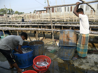Workers clean fish with water before setting them up on a rack to make dry fish under the sunlight at Karnaphuli riverside area in Chittagon...