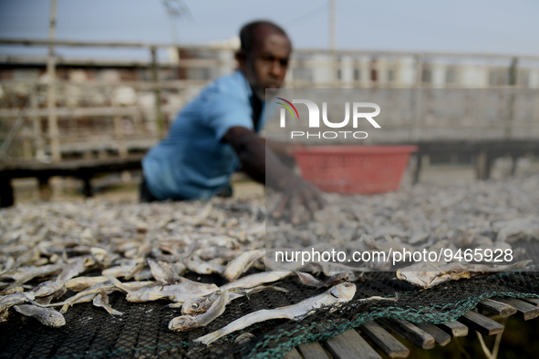 A worker sets up dry fish on a rack under the sunlight at Karnaphuli riverside area in Chittagong, Bangladesh on January 16, 2023.  