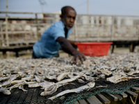 A worker sets up dry fish on a rack under the sunlight at Karnaphuli riverside area in Chittagong, Bangladesh on January 16, 2023.  (