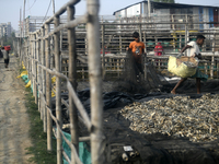 Workers during work at a dry fish factory in the Karnaphuli riverside area in Chittagong, Bangladesh on January 16, 2023.  (