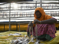 A worker during work at a dry fish factory in the Karnaphuli riverside area in Chittagong, Bangladesh on January 16, 2023.  (