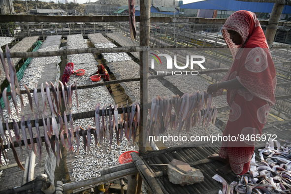 Workers set up dry fish on racks under the sunlight at Karnaphuli riverside area in Chittagong, Bangladesh on January 16, 2023.  