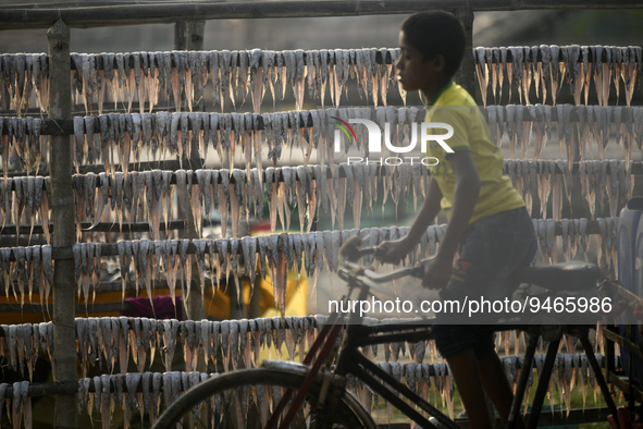 A child carries dry fish on a van at the Karnaphuli riverside area in Chittagong, Bangladesh on January 16, 2023.  