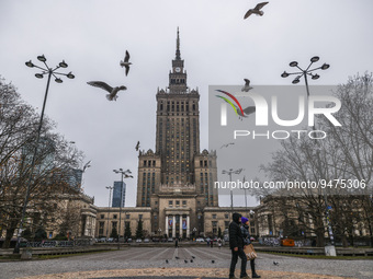 Seagulls flying near the Palace of Culture and Science (PKiN) in Warsaw, Poland on January 19, 2023. The building, designed by Soviet-Russia...