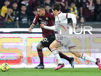 Pasquale Mazzocchi of US Salernitana and Andrea Cambiaso of Bologna FC compete for the ball during the Serie A match between US Salernitana...