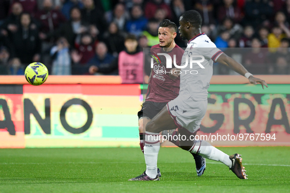 Pasquale Mazzocchi of US Salernitana and Adama Soumaoro of Bologna FC compete for the ball during the Serie A match between US Salernitana a...