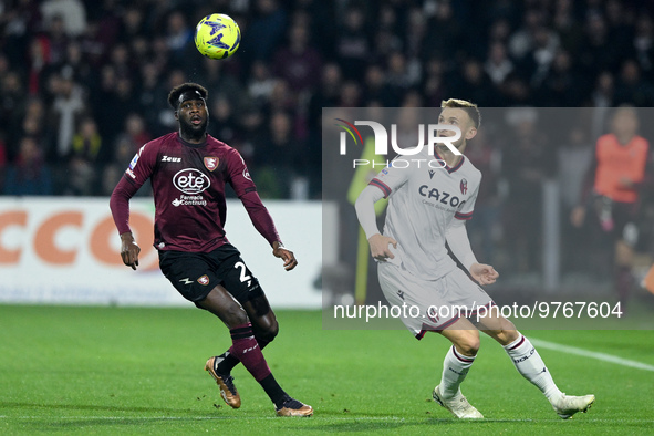 Stefan Posch of Bologna FC and Boulaye Dia of US Salernitana compete for the ball during the Serie A match between US Salernitana and Bologn...