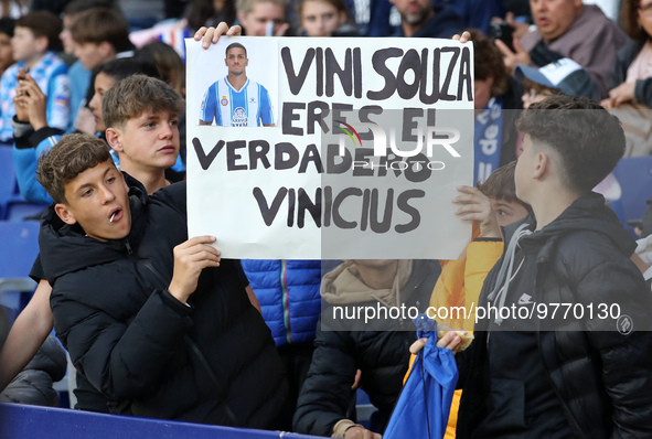 Vinicius de Souza supporters during the match between RCD Espanyol and Real Club Celta de Vigo, corresponding to the week 26 of the Liga San...