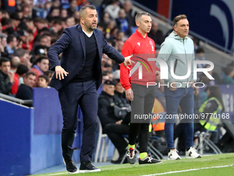 Diego Martinez during the match between RCD Espanyol and Real Club Celta de Vigo, corresponding to the week 26 of the Liga Santander, played...