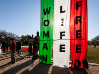 Banners at a Nowruz celebration on the National Mall bear the slogan of the recent uprising in Iran: ''woman, life, freedom.''  The Nowruz h...