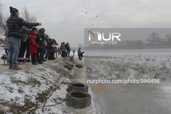 People feed birds with bread crumbs as the frozen Vistula river (Polish: Wisla) become a Bird sanctuary during a cold winter days, with temp...