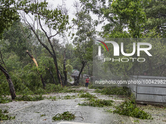 A man walks past the fallen trees after Cyclone Mocha's crashed ashore, in Shahpori island on the outskirts of Teknaf, on May 14, 2023, ahea...