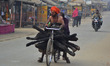 An indian saint carries woods stick in his bicycle for preparing food,during Magh Mela,in...