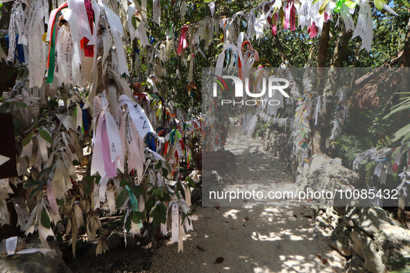 General view of the ribbons left by the faithful to Mary Undoer of Knots in gratitude for their requests and miracles fulfilled in the sanct...