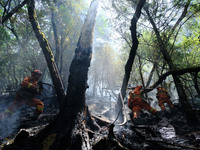 MULI, CHINA - JUNE 1, 2023 - Zhou Weiheng of Chengdu Forest Fire Brigade clears an underground fire in Muli county, Liangshan, Sichuan, Chin...