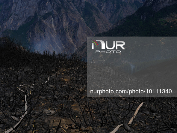 MULI, CHINA - JUNE 1, 2023 - Liangshan Site, June 1, 2023, Muli County, Liangshan, Sichuan, China. At 11:00 a.m. on June 2, 2023, the forest...