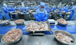 

Workers are producing chicken products at a food factory in Suqian, East China's Jiangsu...