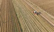 QINGZHOU, CHINA - JUNE 10, 2023 - A farmer drives a harvester to harvest wheat in a field...